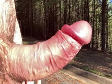 Clitlicker662 - Actualización y num; 35 - IMG 1372 - 12 de abril de 2025