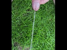 Mark Bored - Pee - 09 de abril de 2025