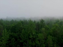 El sexo contando desde el amor, en los tiempos del porno