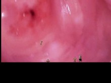 La giganta vore y los diminutos amantes