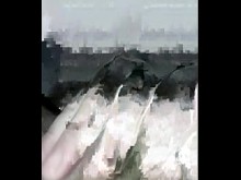 Mi pija tiene hambre