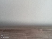 Llego a tiempo para pajearme escuchando los ruidos de la vecina siendo follada por el culo!