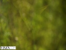 VIXEN - Una auténtica pareja swinger lo comparte todo